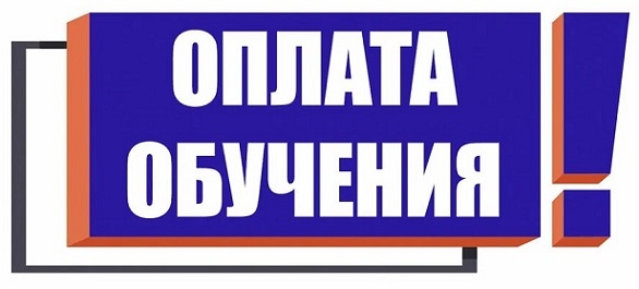 <hr>