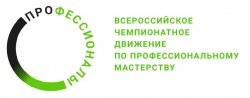 IV региональный  чемпионат  «Профессионалы» - завершён